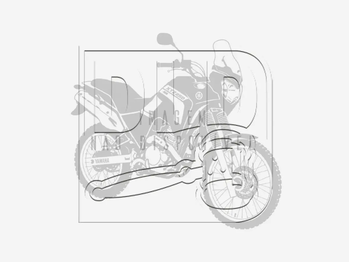 LOTE 001 - Yamaha XTZ 250 Tenere