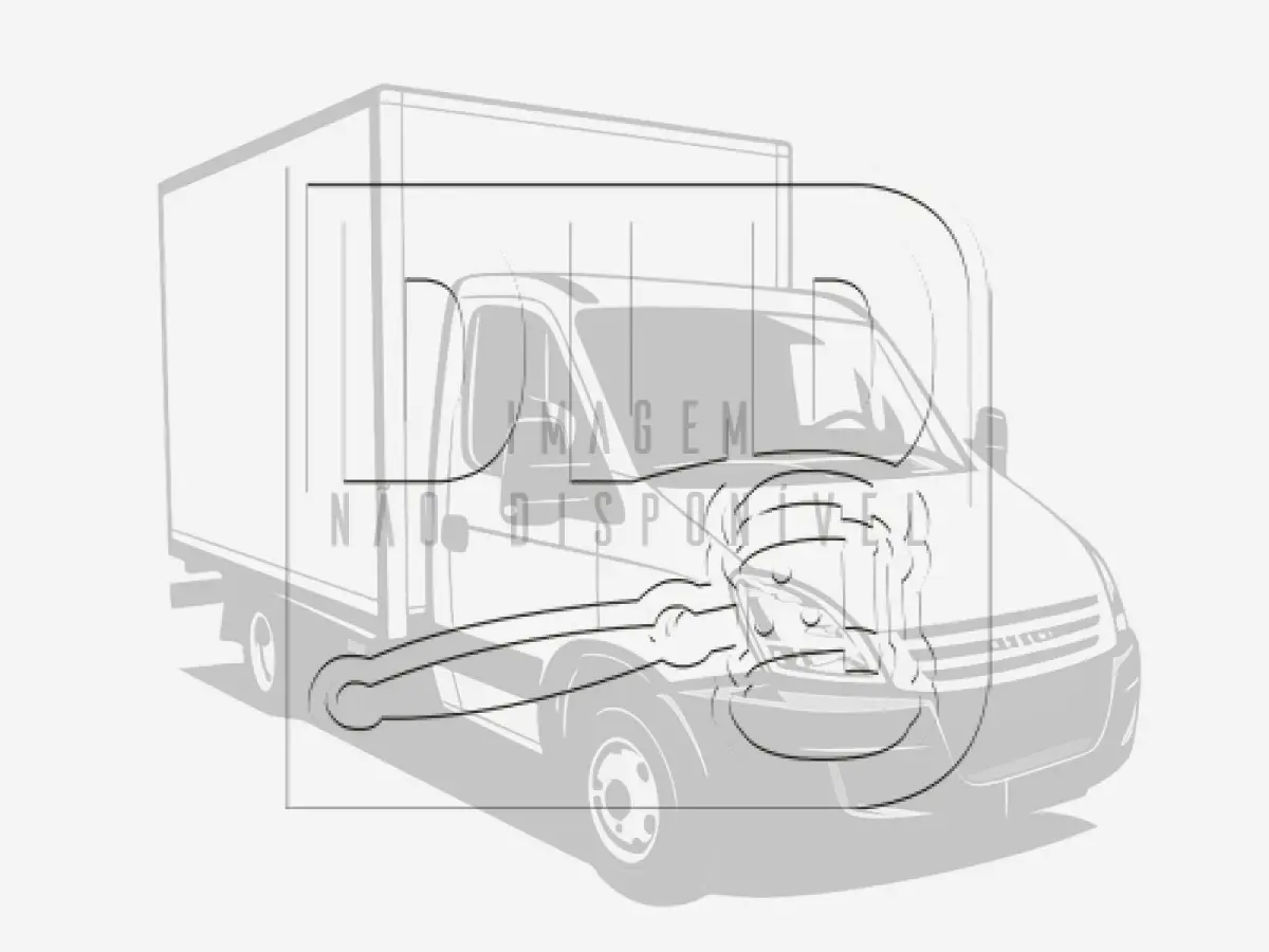 LOTE 001 - Caminhão Iveco/Daily 55C16 CS