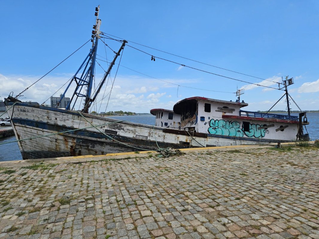 Foto 4